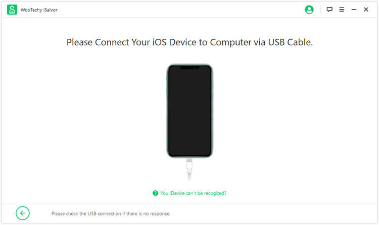 connect idevice to iSalvor