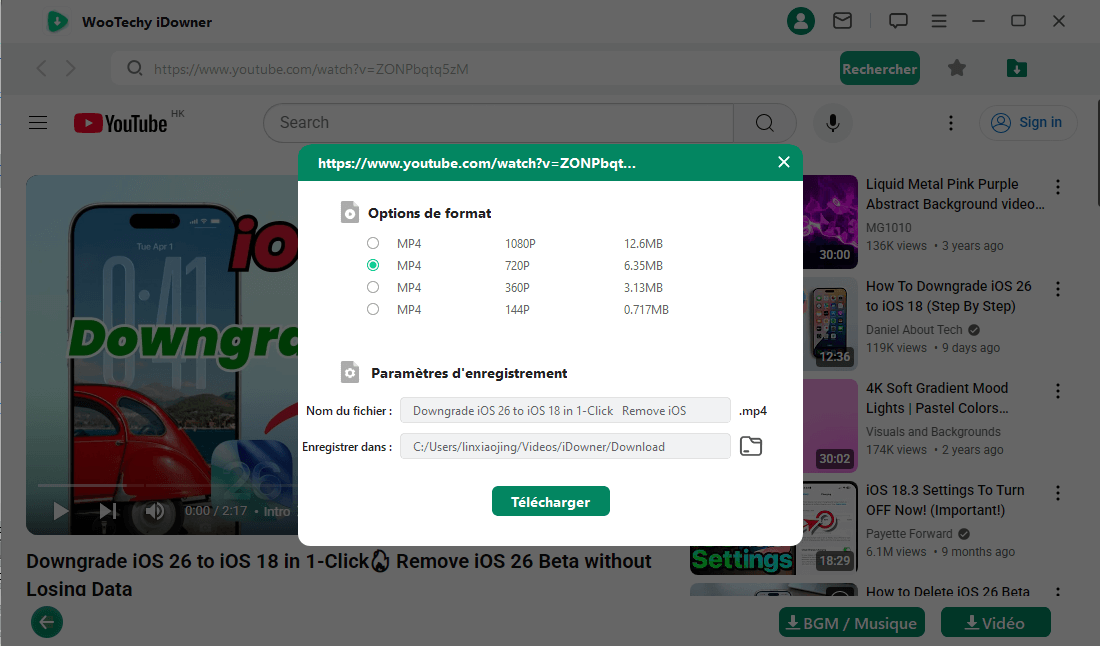 Télécharger une vidéo YouTube en 4K avec idowner