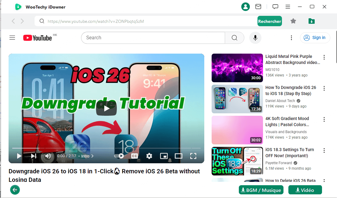 Télécharger une vidéo YouTube en 4K avec idowner