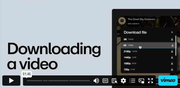 how-to-download-vimeo-videos