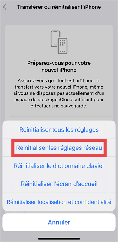 iphone Réinitialiser les réglages réseau