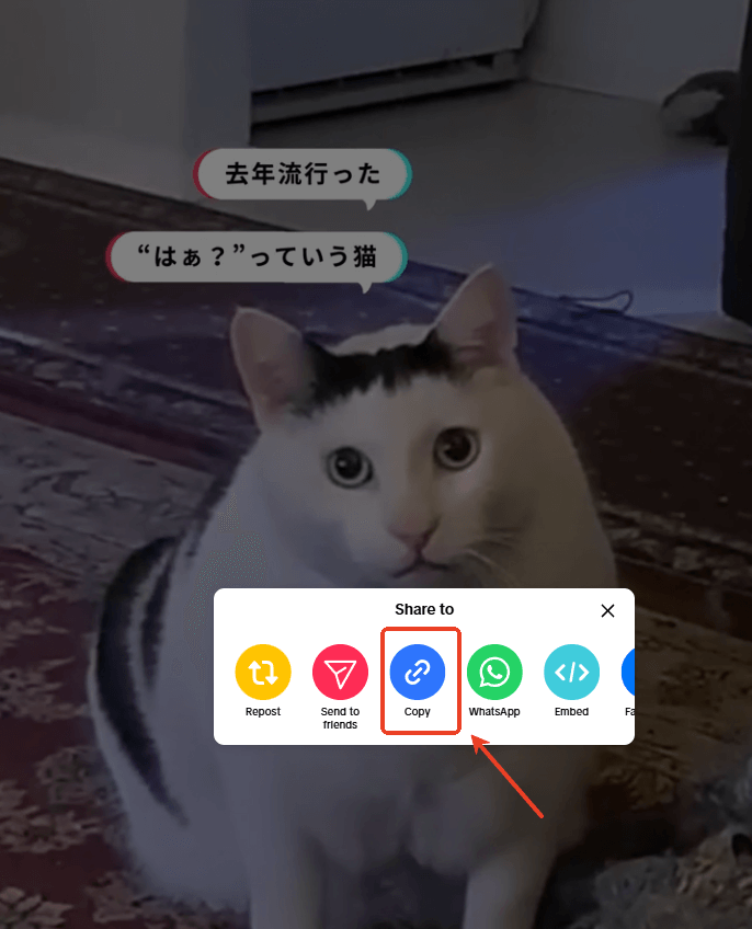tiktok video link