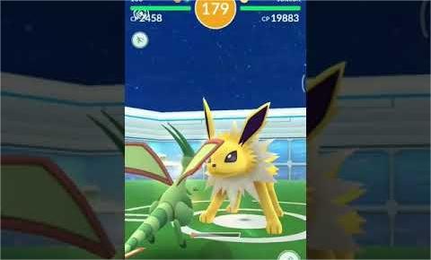  Pokémon interface