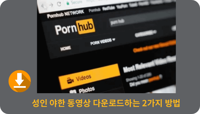 최고의 성인 동영상 다운로더 : 프로처럼 성인 동영상 다운로드