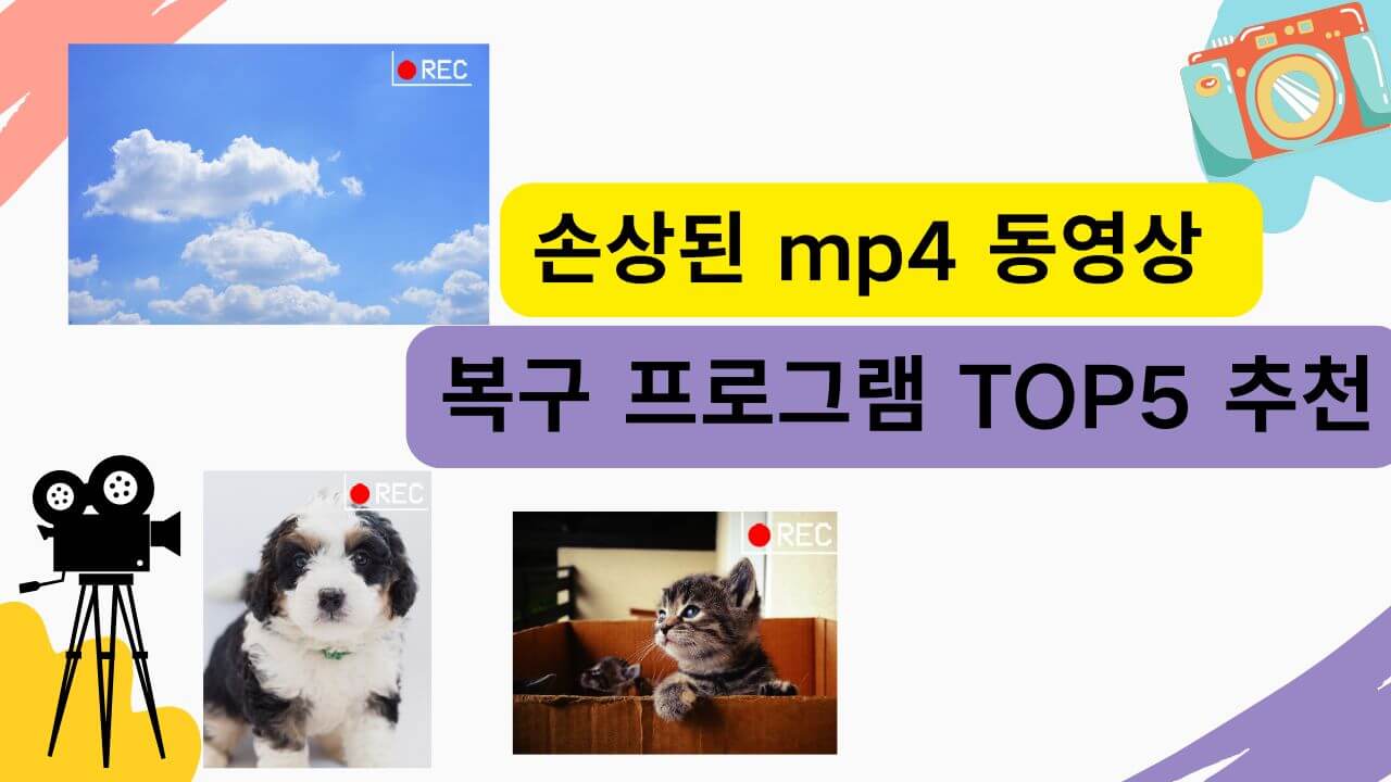 손상된 mp4 동영상 복구 프로그램 TOP5