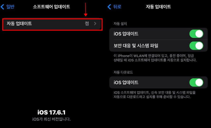 iOS 업데이트 선택