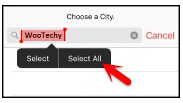 wootechy