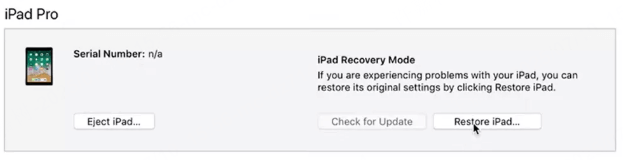 iPad 복구